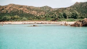 Perdalonga Cala zafferano escursioni prezzi Chia escursioni Noleggio Gommone Teulada Chia escursioni in barca Chia Noleggio Gommoni Escursioni Cala Zafferano Escursioni Tuerredda Noleggio Gommone Chia Teulada Noleggio Gommoni Tuerredda Noleggio Gommoni Affitto Gommone Chia Chia Escursioni Gommone Escursioni Chia Gommoni Teulada Noleggio Gommoni Su Giudeu Capo Malfatano Noleggio Gommoni Tuerredda Noleggio Gommoni Pula Grottini di Pinus Village e Santa Margherita