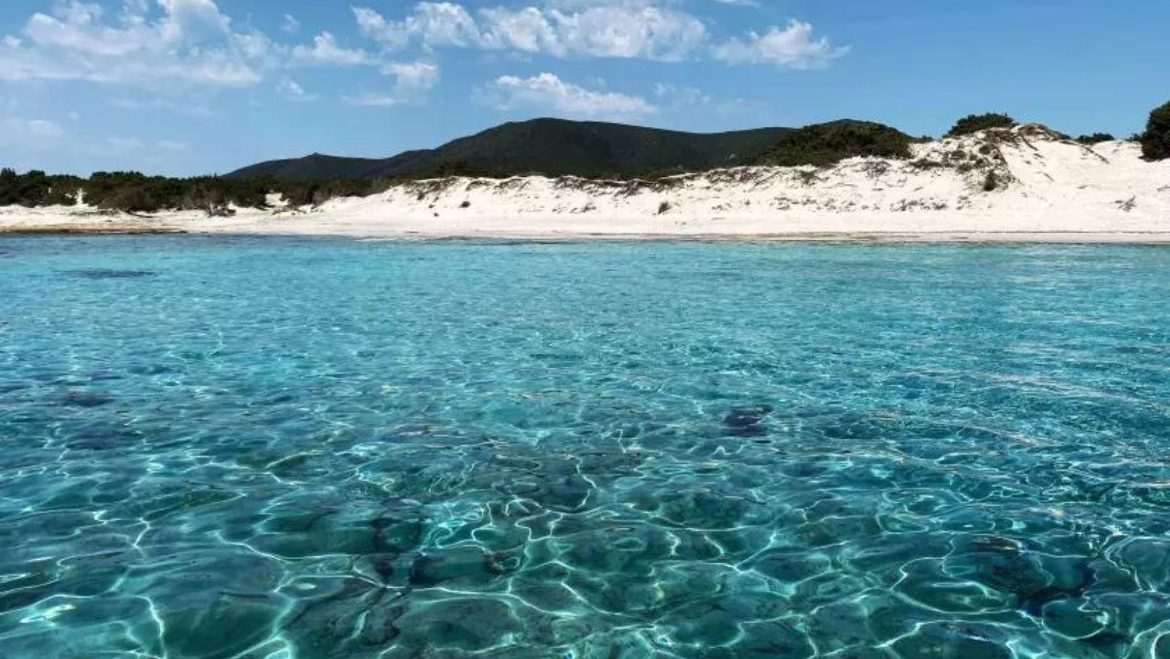 Cala Cipolla Cala zafferano escursioni prezzi Chia escursioni Noleggio Gommone Teulada Chia escursioni in barca Chia Noleggio Gommoni Escursioni Cala Zafferano Escursioni Tuerredda Noleggio Gommone Chia Teulada Noleggio Gommoni Tuerredda Noleggio Gommoni Affitto Gommone Chia Chia Escursioni Gommone Escursioni Chia Gommoni Teulada Noleggio Gommoni Su Giudeu Capo Malfatano Noleggio Gommoni Tuerredda Noleggio Gommoni Pula Grottini di Pinus Village e Santa Margherita Spiaggia di Porto Campana Perdalonga, Chia Isola Rossa